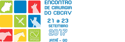 Encontro CBCAV 2017